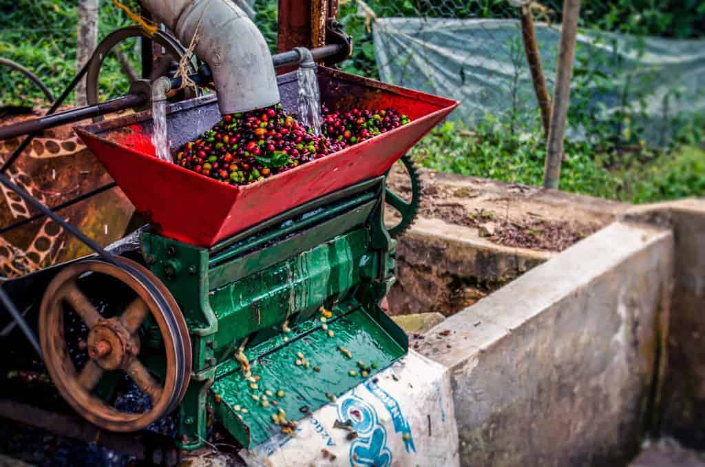 Мытая обработка кофе на ферме в Колумбии